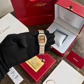 Cartier De Santosh Panthere